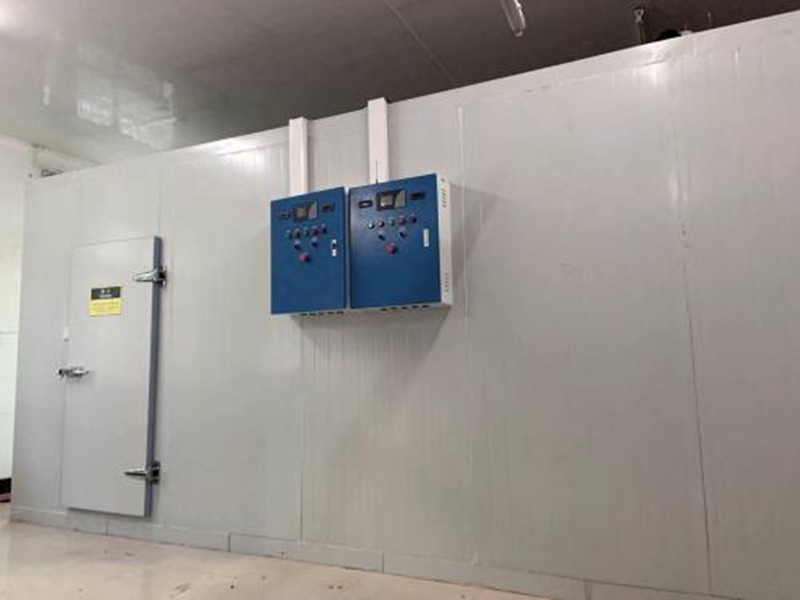 揚(yáng)子江藥業(yè)